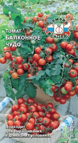 Семена томат декоративный Балконное чудо СЕДЕК 0,1г